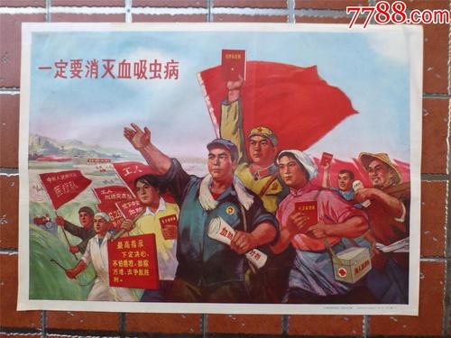 会计师证如何办理